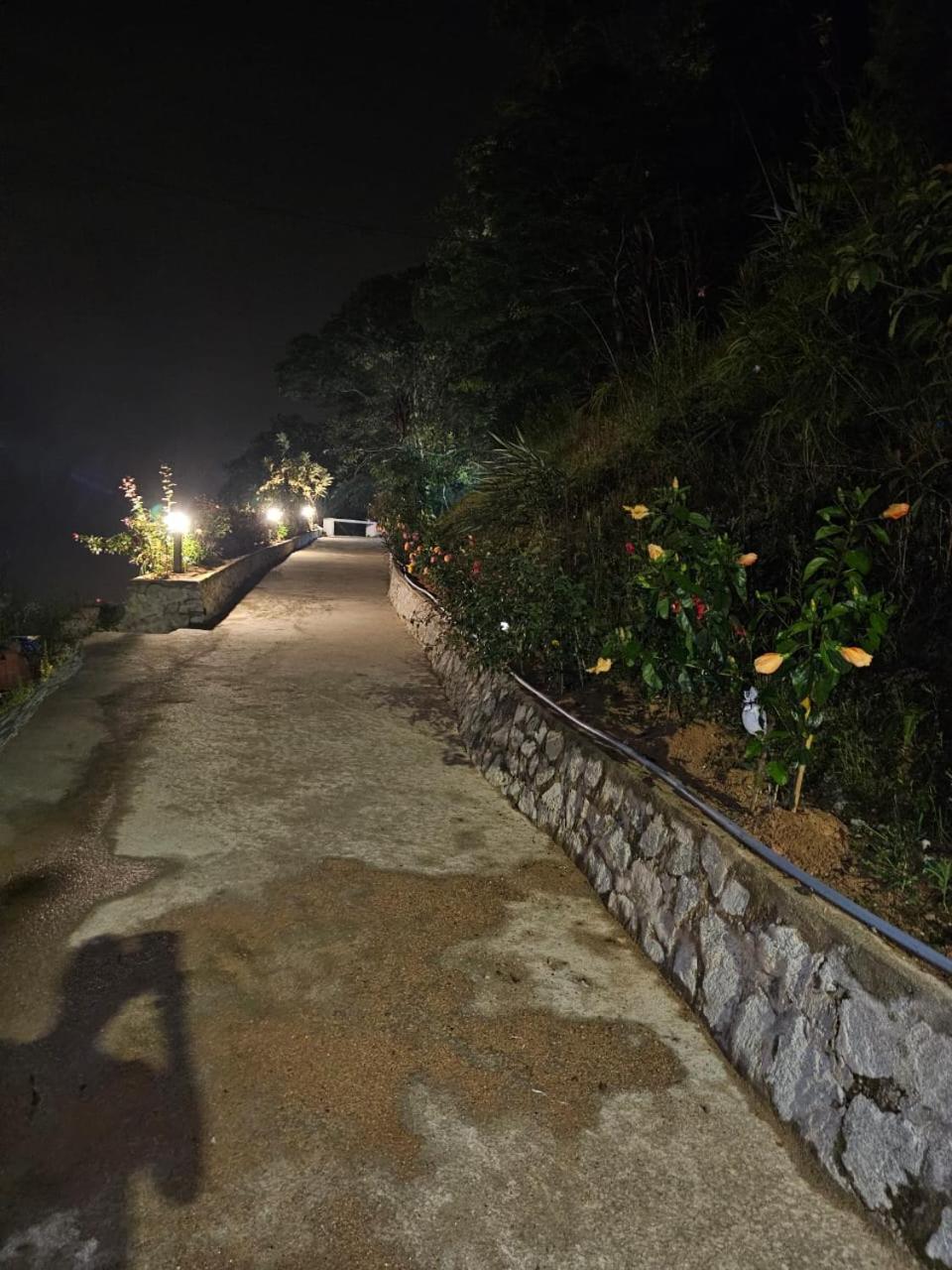 Orkid Chalet 카메론하일랜즈 외부 사진